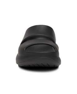 1700 - OOyea Slide