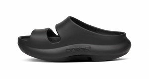 1700 - OOyea Slide