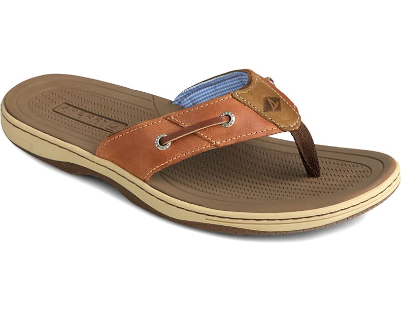Sperry Baitfish Thong Sonora New In Box Amazon.com | Sperry Men main image 2